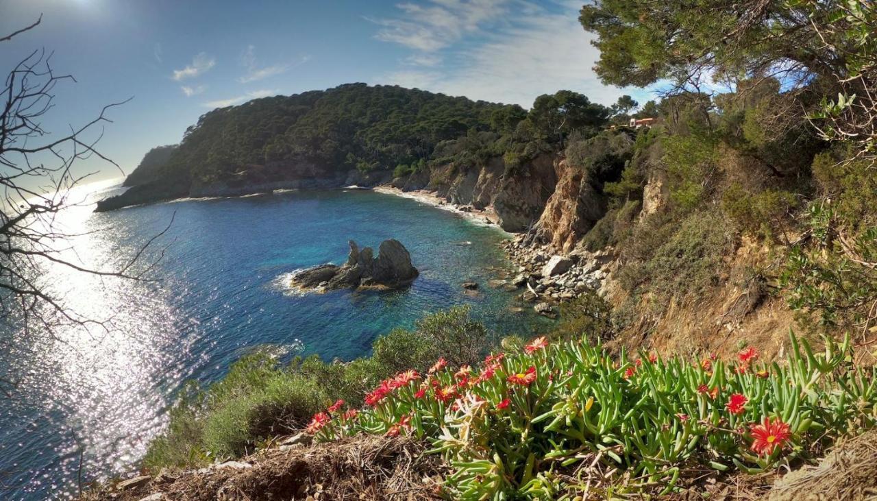 Studio Proche Port Et Plages, Piscine Hyères Exterior foto